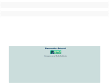 Tablet Screenshot of betasoftmx.com